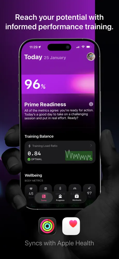 The Outsiders screenshot 2