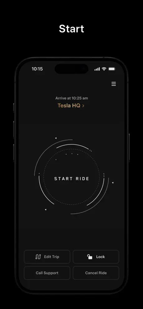 Tesla Robotaxi screenshot 3